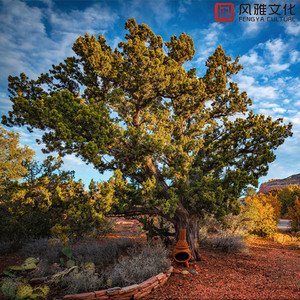 打扑克爽❌又黄❌视频动漫
